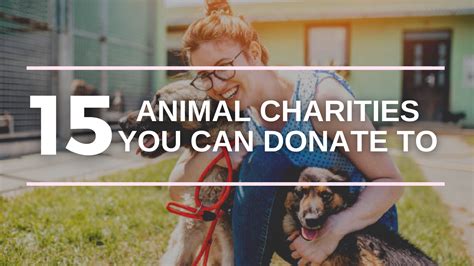 17 Best Animal Charities That Deserve Your Support in 2024.